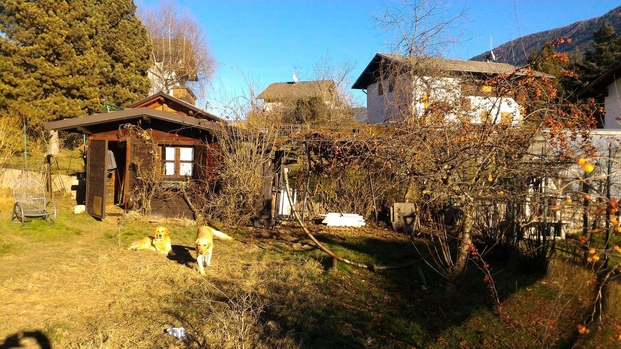 Il Cardo Trentino Lejlighed Bedollo Eksteriør billede